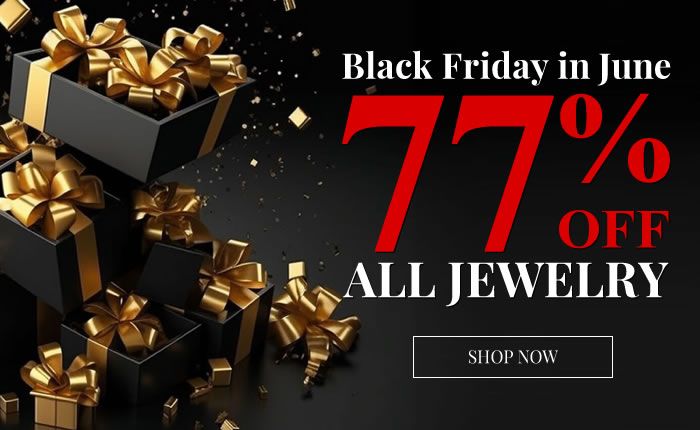 Black Friday In June! All Jewelry 77% OFF