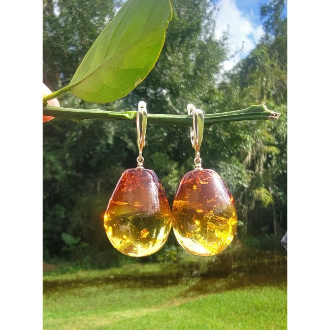 Golden Honey Drops authentic Baltic Amber .925 Sterling Silver earrings